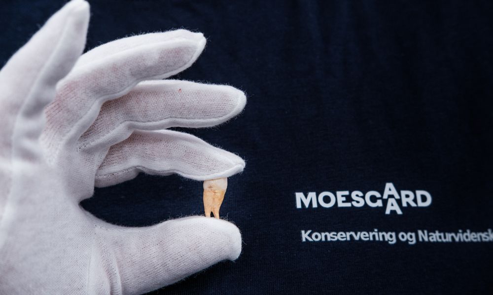 Ny forskning kan ændre opfattelsen af køn i vikingetiden